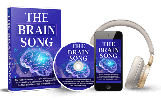 The Brain Song